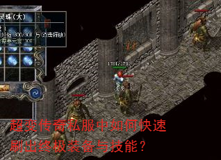 䴫˽οˢռװ뼼ܣ