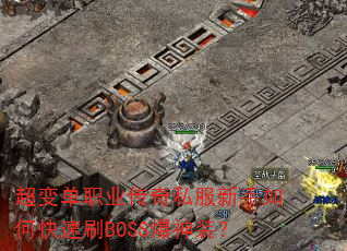 䵥ְҵ˽οˢBOSSװ