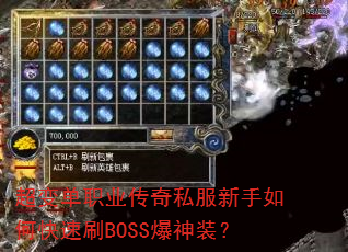 䵥ְҵ˽οˢBOSSװ