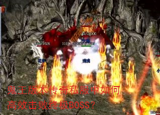 汾˽θЧռBOSS