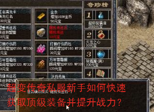 䴫˽οٻȡװս