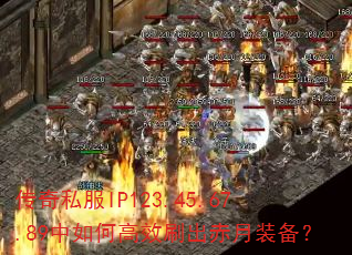 ˽IP123.45.67.89θЧˢװ