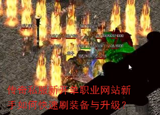 ˽¿ְҵվοˢװ