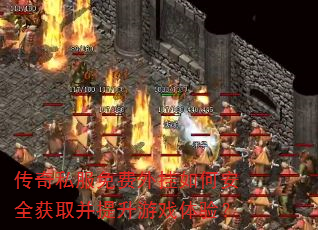 ˽ΰȫȡϷ飿