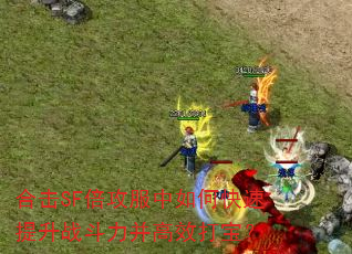 合击SF倍攻服中如何快速提升战斗力并高效打宝? 合击SF倍攻服中如何快速提升战斗力并高效打宝?