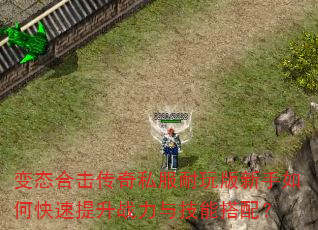 变态合击传奇私服耐玩版新手如何快速提升战力与技能搭配? 变态合击传奇私服耐玩版新手如何快速提升战力与技能搭配?