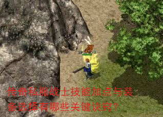 传奇私服战士技能加点与装备选择有哪些关键诀窍? 传奇私服战士技能加点与装备选择有哪些关键诀窍?