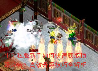 牛牛私服新手如何快速获取顶级装备?高效升级技巧全解析 牛牛私服新手如何快速获取顶级装备?高效升级技巧全解析