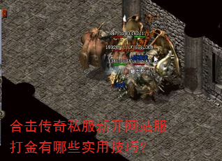 合击传奇私服新开网站服打金有哪些实用技巧? 合击传奇私服新开网站服打金有哪些实用技巧?