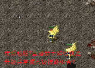 传奇私服2直播新手如何快速升级并掌握高级技能组合? 传奇私服2直播新手如何快速升级并掌握高级技能组合?