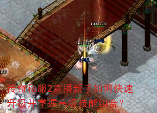 传奇私服2直播新手如何快速升级并掌握高级技能组合? 传奇私服2直播新手如何快速升级并掌握高级技能组合?