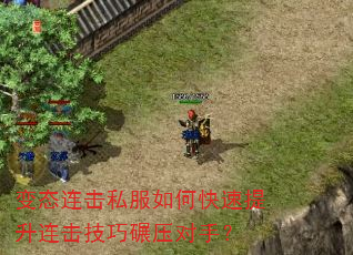 变态连击私服如何快速提升连击技巧碾压对手? 变态连击私服如何快速提升连击技巧碾压对手?