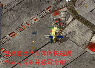 龙腾盛世传奇如何快速提升战力等级并称霸全服? 龙腾盛世传奇如何快速提升战力等级并称霸全服?