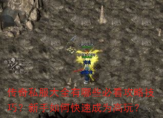 ˽ȫЩؿԼɣοٳΪ棿