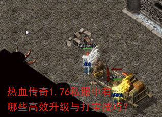热血传奇1.76私服中有哪些高效升级与打宝技巧? 热血传奇1.76私服中有哪些高效升级与打宝技巧?