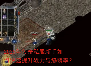 2025괫˽οս뱬װʣ