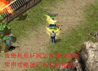 ˽SFվϼЩʵùԼָܿϣ