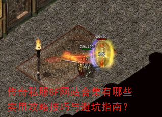 ˽SFվϼЩʵùԼָܿϣ