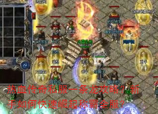 热血传奇私服一条龙攻略?新手如何快速崛起称霸全服? 热血传奇私服一条龙攻略?新手如何快速崛起称霸全服?