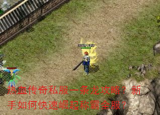 热血传奇私服一条龙攻略?新手如何快速崛起称霸全服? 热血传奇私服一条龙攻略?新手如何快速崛起称霸全服?