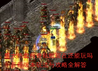 ʢѪ˽ڻ°汾淨빥ȫ