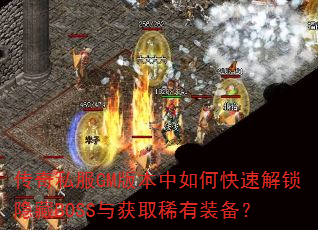 ˽GM汾οٽBOSSȡϡװ