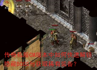 ˽GM汾οٽBOSSȡϡװ