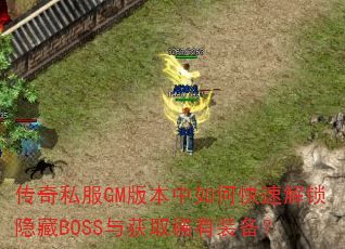 ˽GM汾οٽBOSSȡϡװ