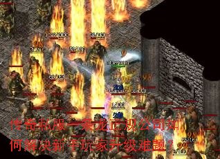 传奇私服一条龙正规公司如何解决新手玩家升级难题? 传奇私服一条龙正规公司如何解决新手玩家升级难题?