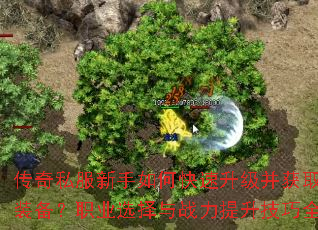 传奇私服新手如何快速升级并获取顶级装备?职业选择与战力提升技巧全解析 传奇私服新手如何快速升级并获取顶级装备?职业选择与战力提升技巧全解析