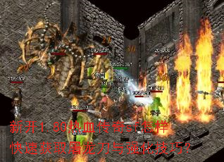 新开1.80热血传奇sf怎样快速获取屠龙刀与强化技巧? 新开1.80热血传奇sf怎样快速获取屠龙刀与强化技巧?