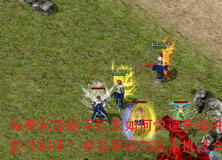 ˽οѡְҵװȡ븱սȫ