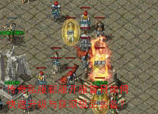 传奇私服新服开服首日如何快速升级与获取极品装备? 传奇私服新服开服首日如何快速升级与获取极品装备?