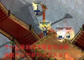 传奇私服新服开服首日如何快速升级与获取极品装备? 传奇私服新服开服首日如何快速升级与获取极品装备?