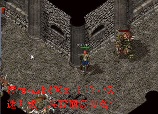 传奇私服600新手如何快速升级与获取顶级装备? 传奇私服600新手如何快速升级与获取顶级装备?