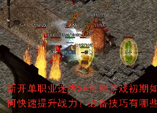 ¿ְҵʧSFϷοսرЩ