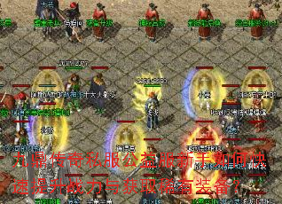 �Ŷ�����˽�������������ο�������ս�����ȡϡ��װ����