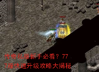 ����˽�����ֱؿ���777�������������Դ����