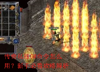 ����˽��GM������ô�ã����ֱؿ����Խ���