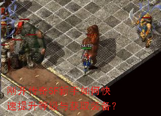 �տ�����SF������ο��������ȼ����ȡװ����