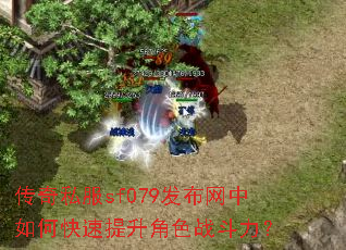 ����˽��sf079����������ο���������ɫս������