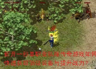 �¿�һ�뵥ְҵ˽��������Ϸ��ο��ٻ�ȡ����װ��������ս����