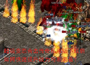 ������̬�ϻ�����˽�������غ���ο�������ս����ˢװ����