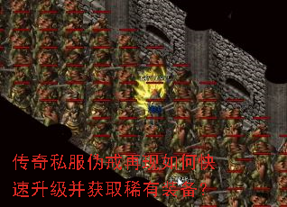 ����˽��α��������ο�����������ȡϡ��װ����