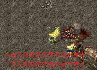 ����˽�����¿���ʱ����ع⣿��������ο��ٳ弶����ɱ