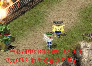 ����˽������ο��ٻ�ȡ3000��ԪCDK�����ֱؿ����Խ���