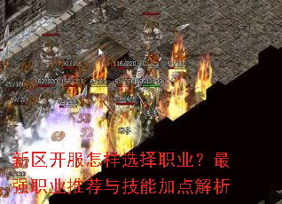 ������������ѡ��ְҵ����ǿְҵ�Ƽ��뼼�ܼӵ����