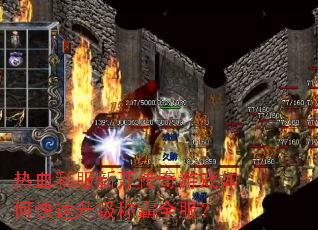 ��Ѫ˽���¿�������Ϸ��ο��������ư�ȫ����