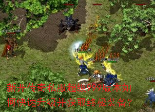 �¿�����˽������999�汾��ο�����������ȡ�ռ�װ����