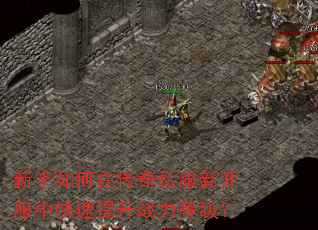 ��������ڴ���˽���¿����п�������ս���ȼ���